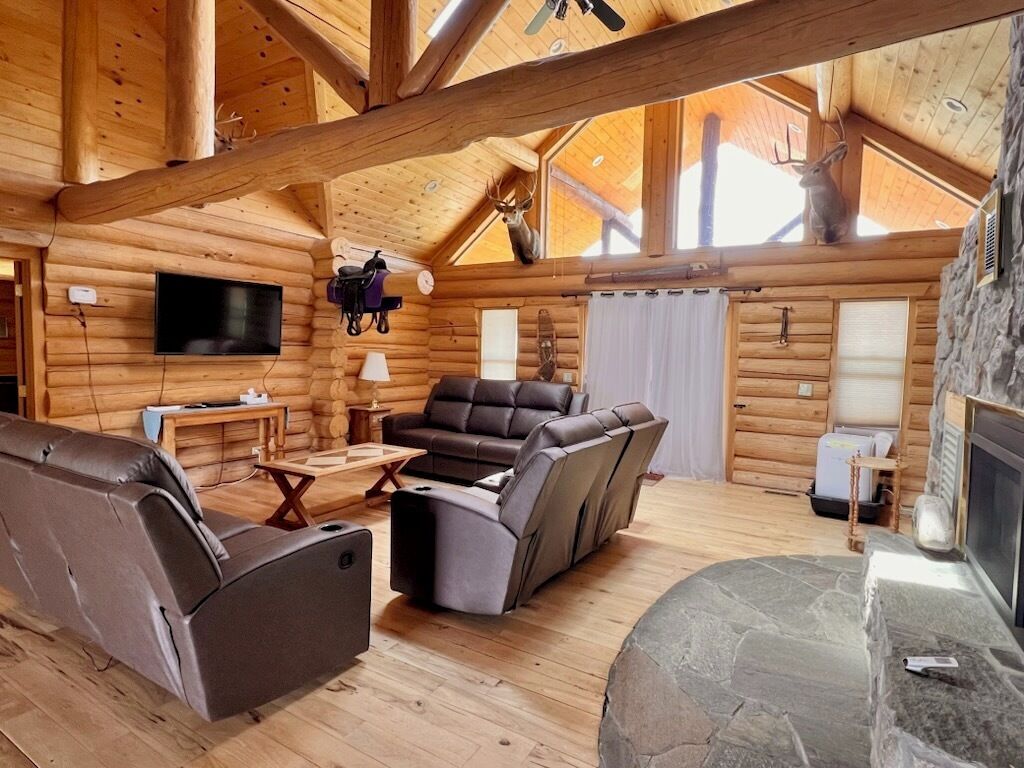 Fernseher, Kamin, DVD-Player