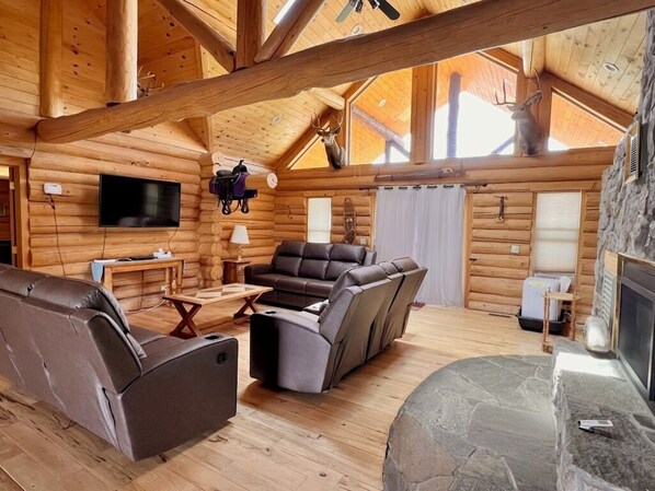 TV, peis og DVD-spiller