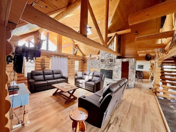 Televisión, chimenea y reproductor de DVD 