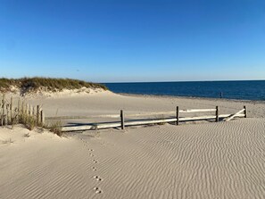On the beach, sun-loungers, beach towels - 🌊 BEACHFRONT FAMILY HOME STEPS TO OCEAN! 2026 Vrbo Rental Of The Year Award! (Yarmouth)