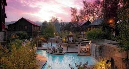 Large 4 Br - 5 Bathroom, 2 King beds, Sauna, Games, Pool