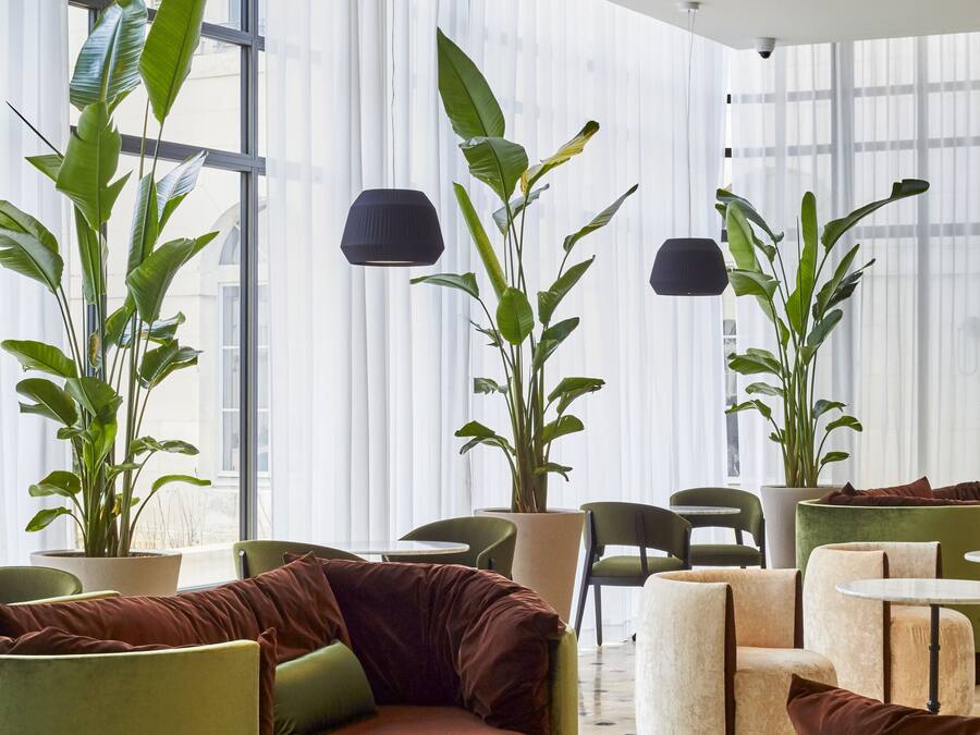 Un espace de détente moderne avec de grandes fenêtres, des sièges aux couleurs vertes et brunes, et des plantes en pot.