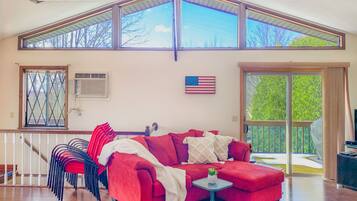 TV, fireplace, books