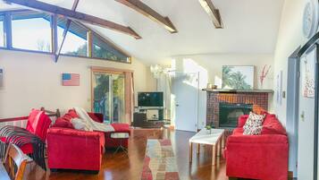 TV, fireplace, books