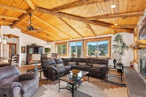 Télévision, cheminée, espaces bureaux