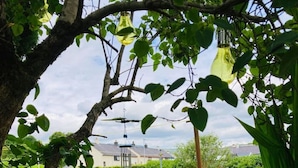 A garden with a stone pathway, lush greenery, and a hanging light fixture. - The Nell in Central Fort William (Fort William)