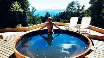 Natural pool