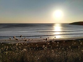 靠近海滩、白沙、间海滩酒吧