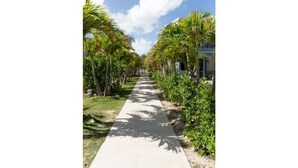A pathway lined with palm trees and greenery, leading to a building with a white facade. - SALT 5: swimming pool, direct access to Orient Bay beach (Collectivité de Saint-Martin)