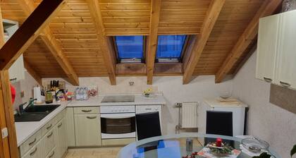 Cozy attic apartment 10 minutes away from the old town