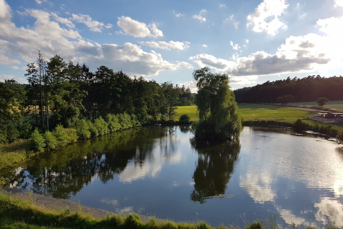 Vista al lago