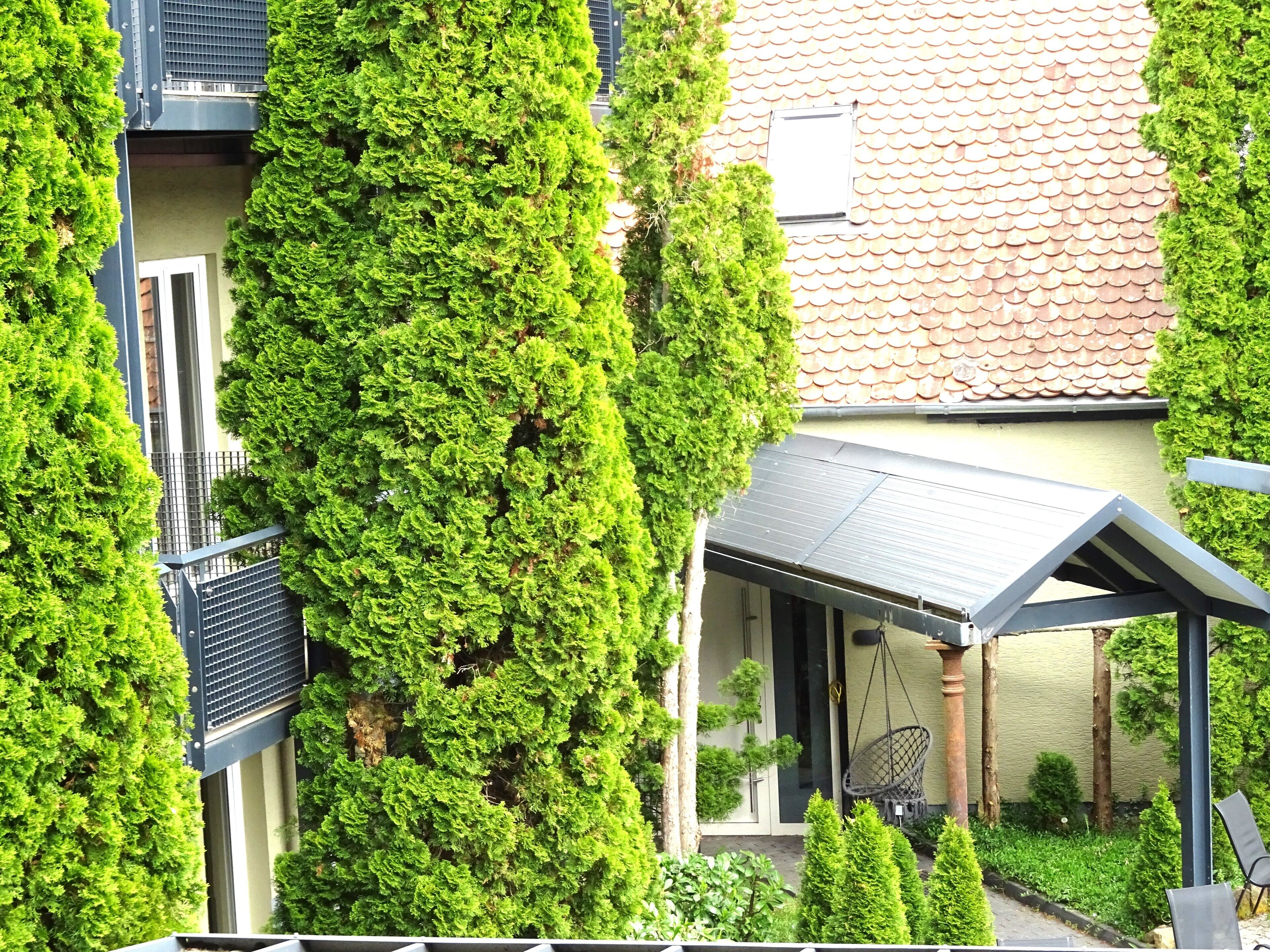 Superior-Zweibettzimmer, 2 Einzelbetten, Balkon, Seeblick (Nr. 1221) | Hochwertige Bettwaren, individuell dekoriert, individuell eingerichtet