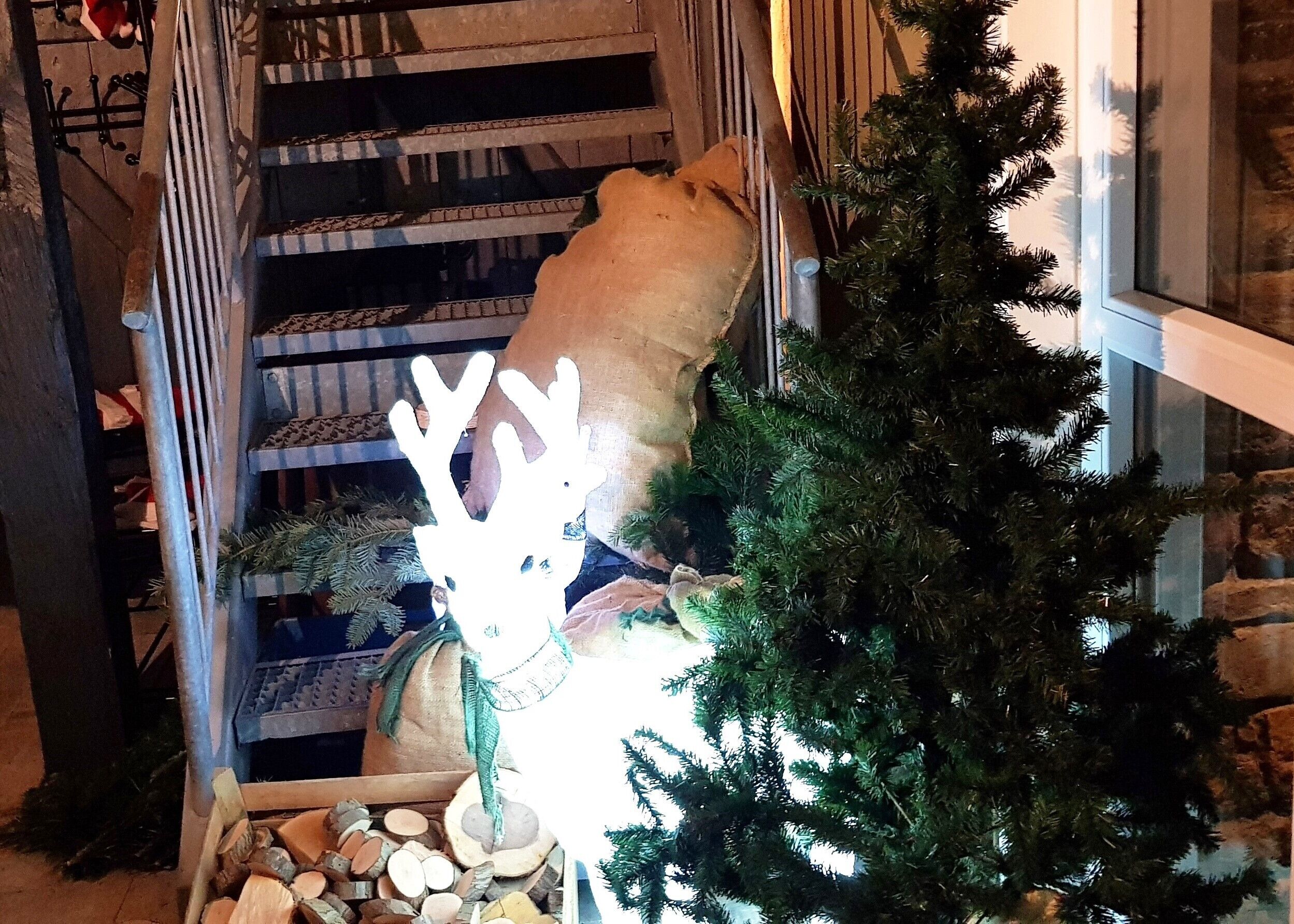 Comfort-Einzelzimmer, 1 großes Einzelbett, allergikerfreundlich, Seeblick (Nr. 1107) | Hochwertige Bettwaren, Minibar, individuell dekoriert