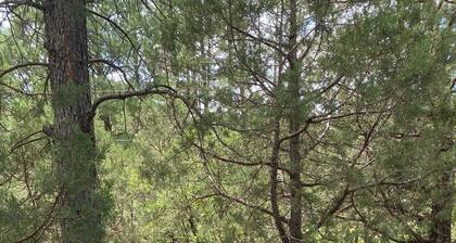 Whispering Pines Cabin with Hot Tub in Ruidoso