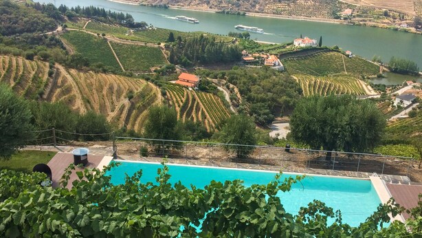 A vineyard landscape with terraced fields, a river, and a swimming pool. - Feel Discovery Alvim's Douro (Armamar)