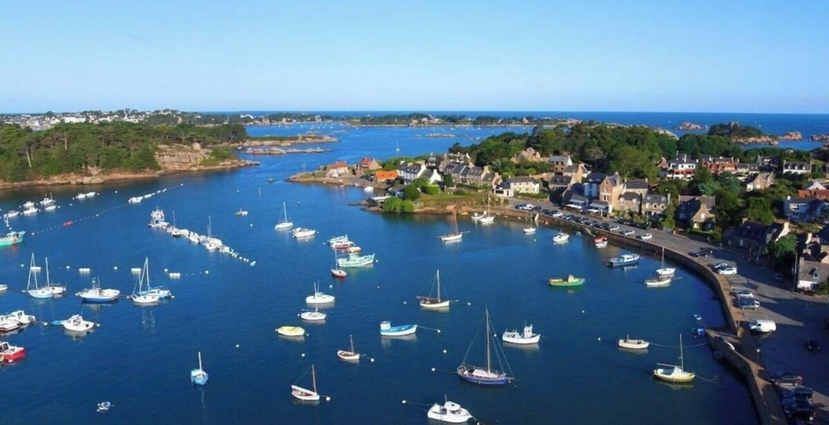 Imagen de perfil del propietario o de la propietaria