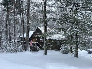 A cabin surrounded by snow-covered trees. - 'Make Your Mark' Cozy Sapphire Cabin with Hot Tub (Sapphire)