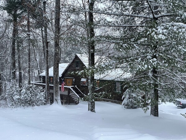 A cabin surrounded by snow-covered trees. - 'Make Your Mark' Cozy Sapphire Cabin with Hot Tub (Sapphire)