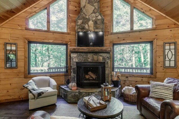 Smart TV, fireplace, video games, DVD player