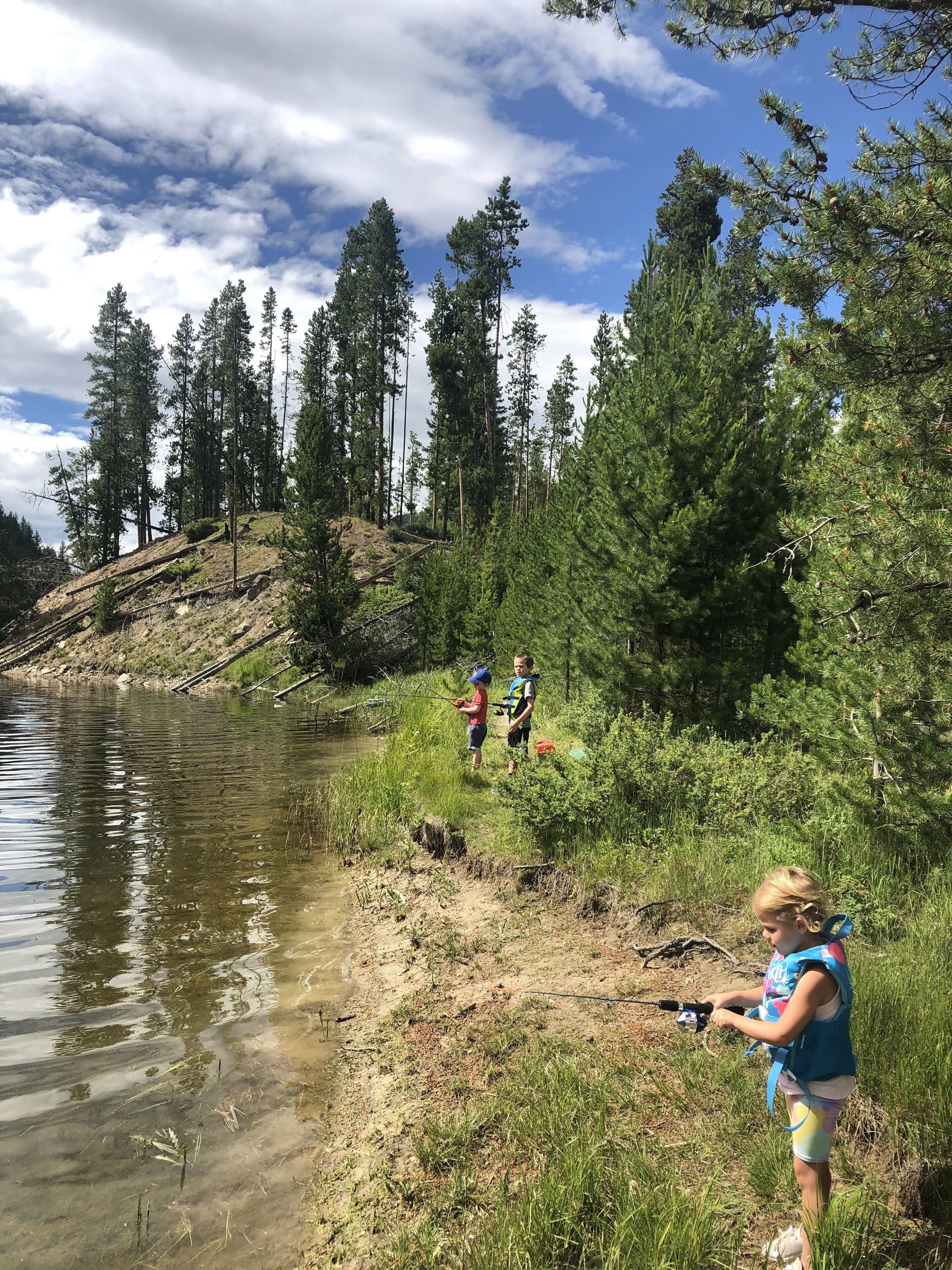 Un ambiente naturale con un fiume, alberi fitti e cielo sereno.