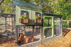 A chicken coop with a green exterior, wire mesh, and wooden feeders with pink flowers.