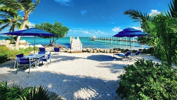 A beachside resort with lounge chairs, umbrellas, and a view of the ocean. - Peaceful ocean front cottage. (Summerland Key)