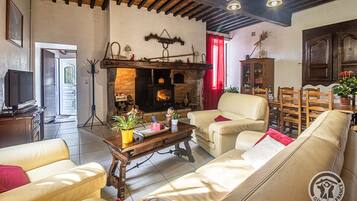 Televisie, een open haard, een dvd-speler en boeken