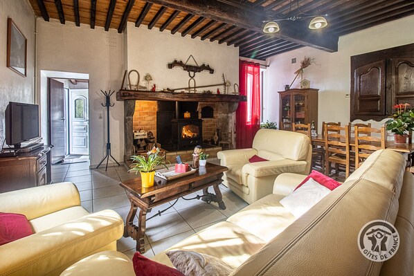 TV, fireplace, DVD player, books - GITE A LA CAMPAGNE. GITE DOULY 65100 ARRODETS EZ ANGLES (ARRODETS-EZ-ANGLES)