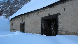 A rustic building with a snow-covered roof and a donkey standing at the entrance.