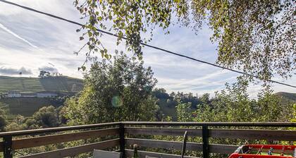 GITE A LA CAMPAGNE. GITE DOULY 65100 ARRODETS EZ ANGLES