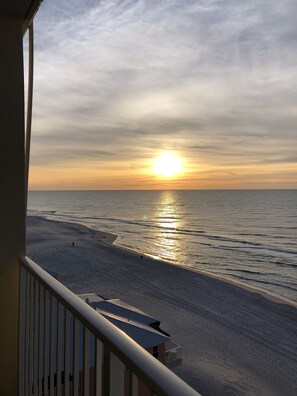 Property grounds - Beachfront 2-bedroom condo just steps to Gulf Shores Beach! Gym, sauna and pool! (Gulf Shores)