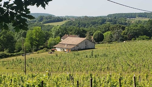 Gîte au coeur des vignes