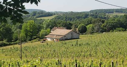 GĂźte au coeur des vignes