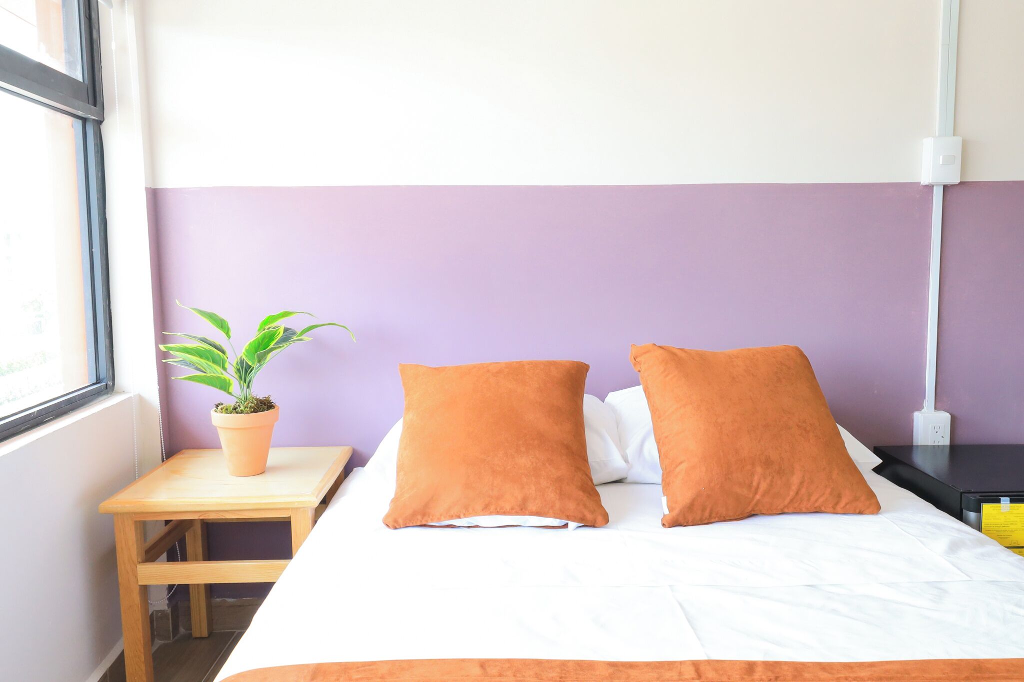 Foto - Colmena Hotel CDMX Suites Roma