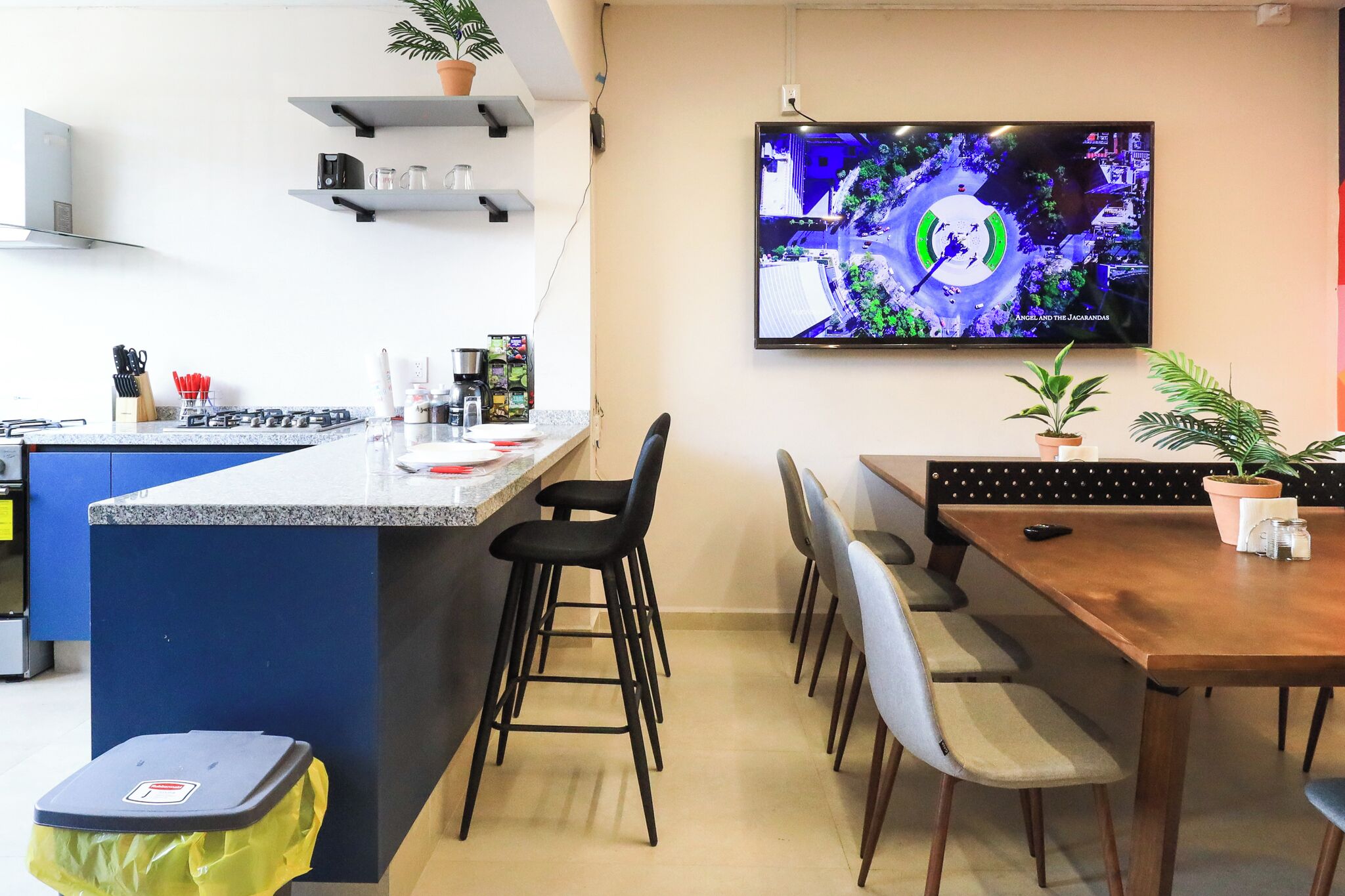 Foto - Colmena Hotel CDMX Suites Roma