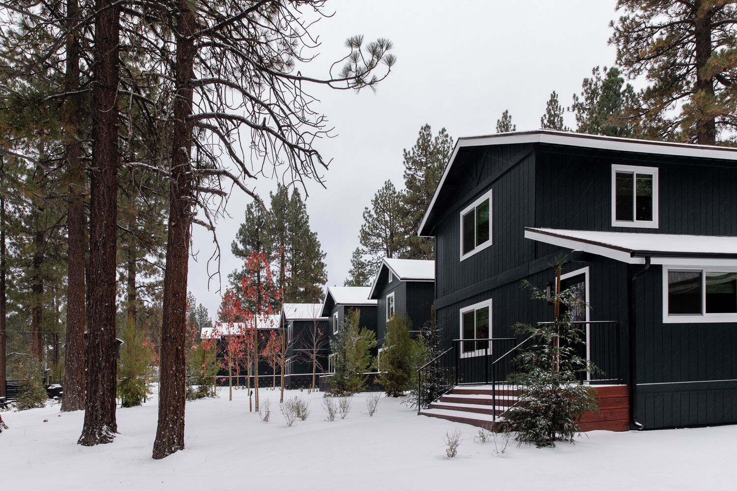 A modern two-story house with a dark exterior and white trim, surrounded by snow-covered ground and tall pine trees.