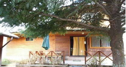 Cabin #3