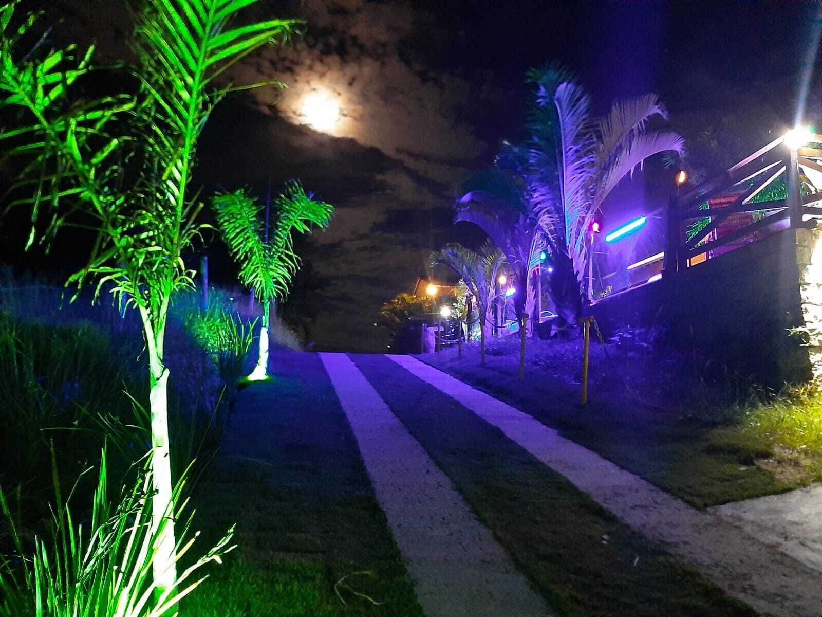 Un chemin nocturne bordé de palmiers illuminés, avec une vue lointaine d’un bâtiment aux lumières colorées.