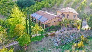 A two-story house with a solar panel roof, surrounded by lush greenery and a stone pathway. - Italian Estate in Wine Country (Temecula)