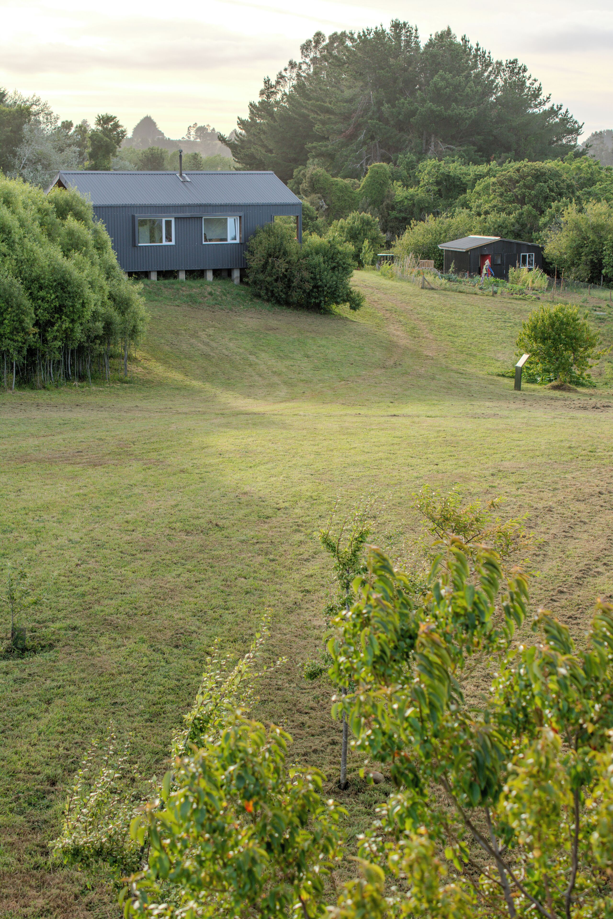 A house with a sloped roof, surrounded by a grassy field and dense trees.