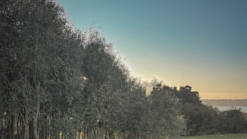 Tina de hidromasaje al aire libre