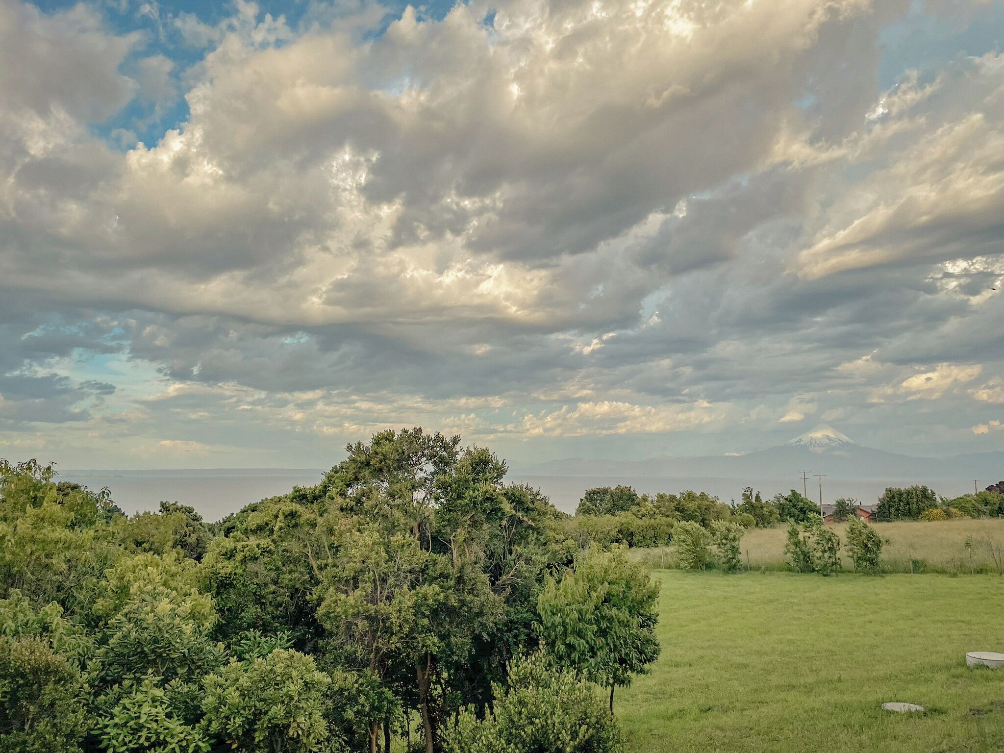 A landscape with a grassy field, trees, and a distant mountain under a cloudy sky.