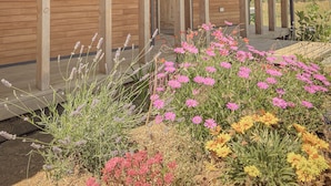 Una construcción de madera con un porche cubierto y un jardín con diversas flores.
