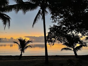 Escena de playa con palmeras y un atardecer sobre el agua.