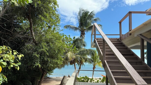 Una terraza de madera que da a una playa con palmeras y una vista despejada del océano.