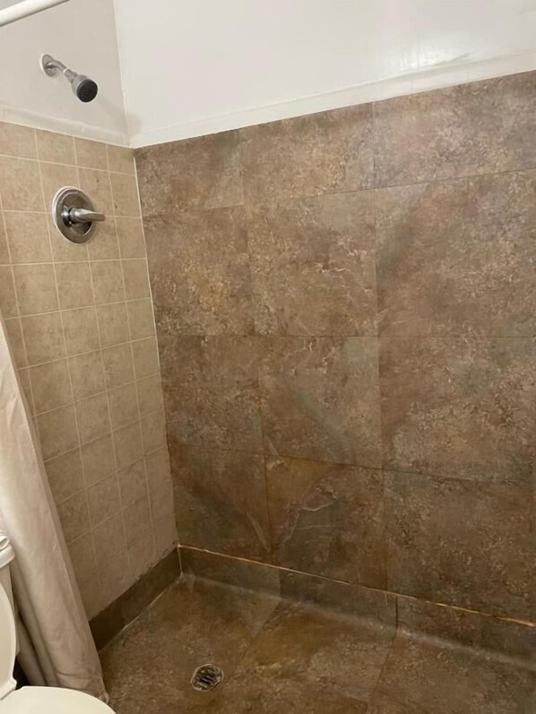 Single Room | Bathroom