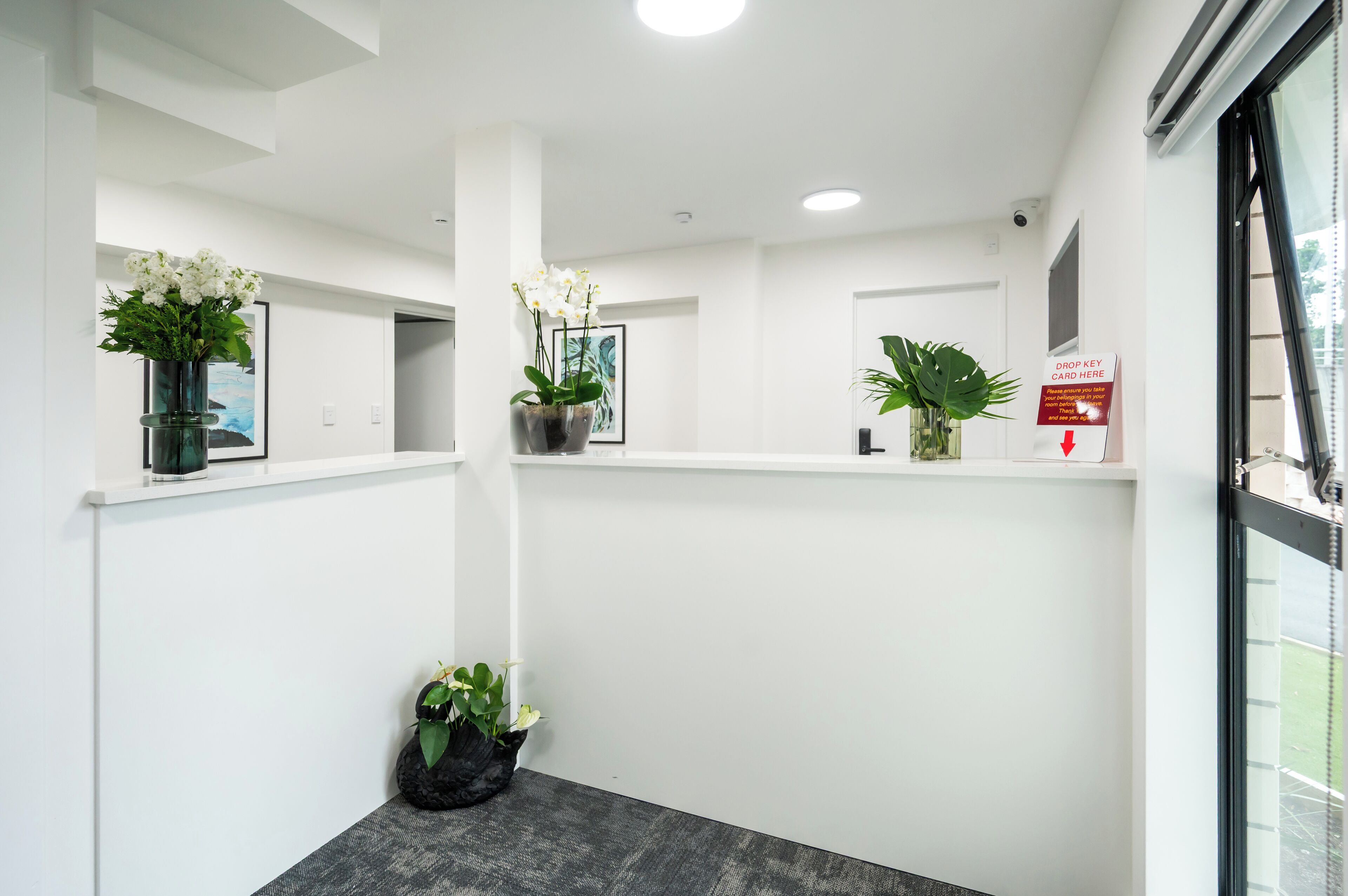 Un interior moderno con paredes blancas, suelo oscuro y plantas en macetas sobre estantes.