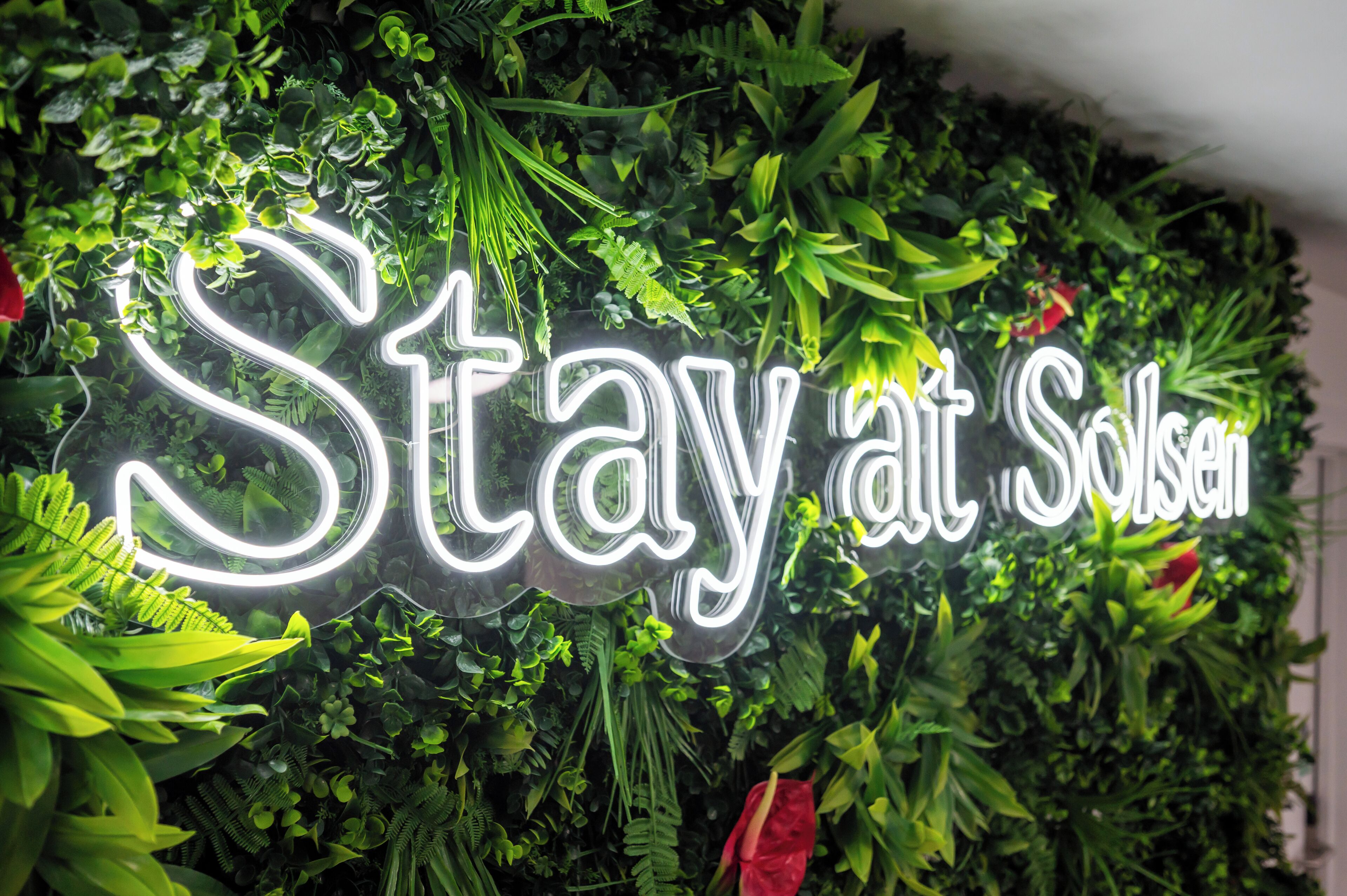 Photo - Solsen Flexi-Stay & Motel