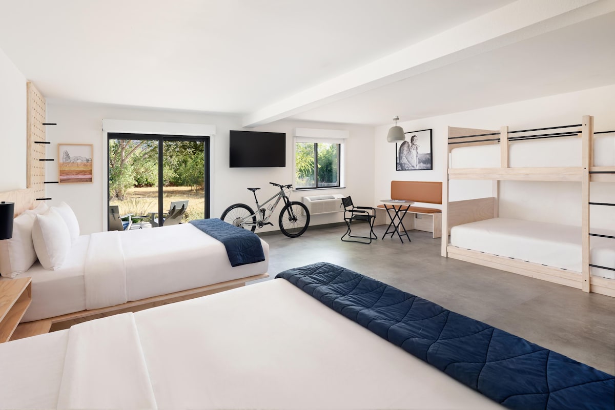 A modern hotel room with a bed, a desk, a bicycle, and a view of the outdoors.