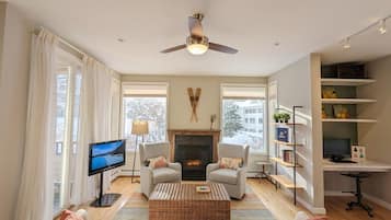 Smart TV, fireplace, DVD player, books